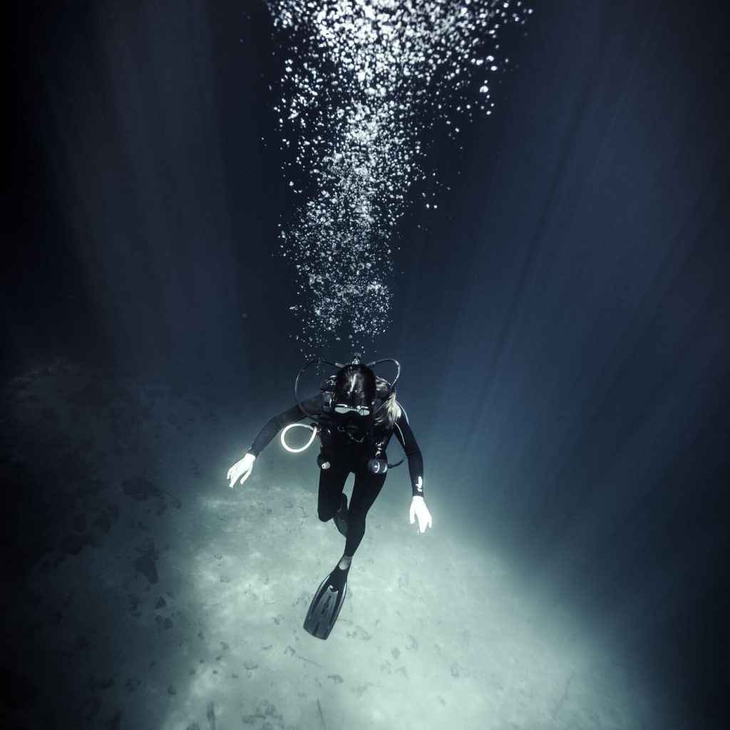 High Angle Underwater View Of Diver Wearing Wet Su 2023 11 27 05 24 34 Utc 1024x1024